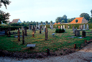 Foto  van omgeving Nijehaske, gemeente Skarsterl�n, provincie Friesland (Frysl�n)