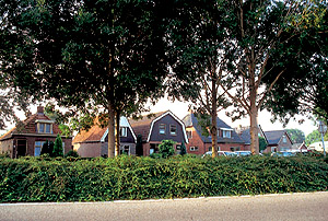 Foto  van omgeving Nijehaske, gemeente Skarsterl�n, provincie Friesland (Frysl�n)