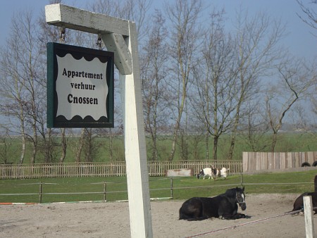 Foto van omgeving Abbega, gemeente Súdwest Fryslân, provincie Friesland (Fryslân) Foto van omgeving Abbega, gemeente Súdwest Fryslân, provincie Friesland (Fryslân)
